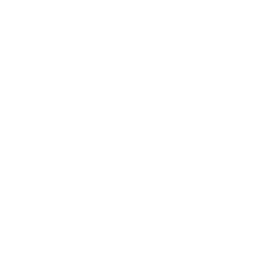 Premium foods logo